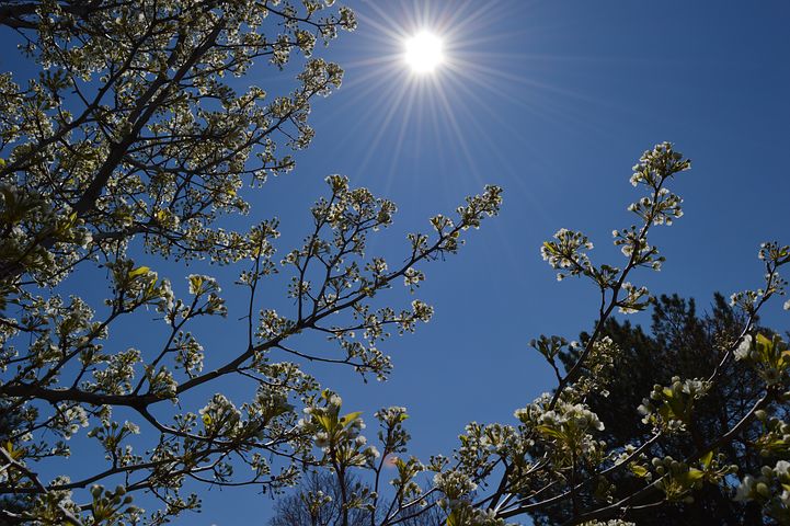 spring-1409373__480