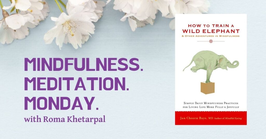 How to Train a Wild Elephant — Week 2